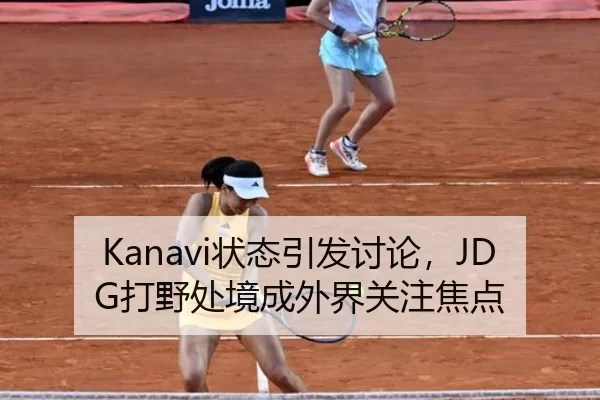 Kanavi状态引发讨论，JDG打野处境成外界关注焦点
